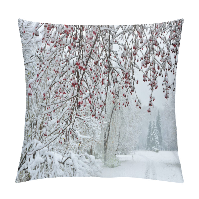 Personality  Snowfall In City Park- Winter Background Pillow Covers