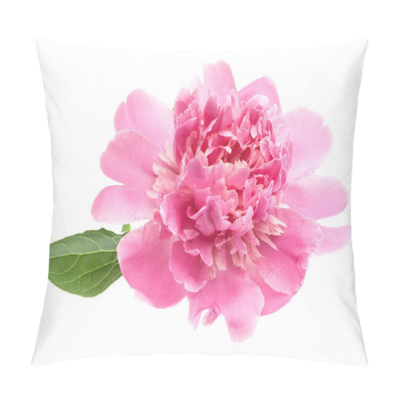 Personality  Peony Flower Isolated On White Pillow Covers