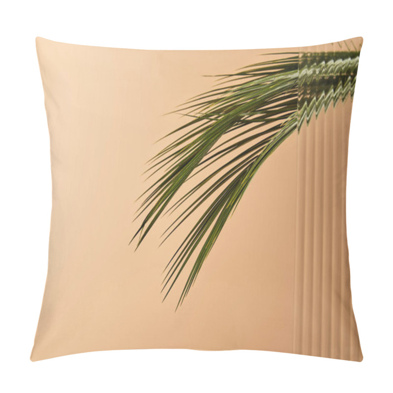 Personality  Palm Tree Leaves Isolated On Beige Behind Reed Glass  Pillow Covers