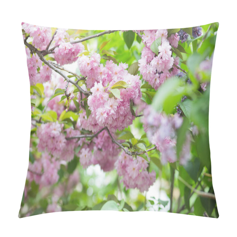 Personality  Cherry Blossom In April Pillow Covers