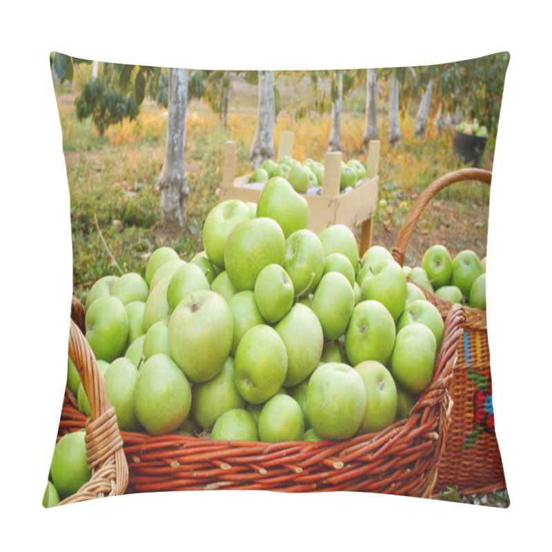 Personality  Apples In Baskets Pillow Covers