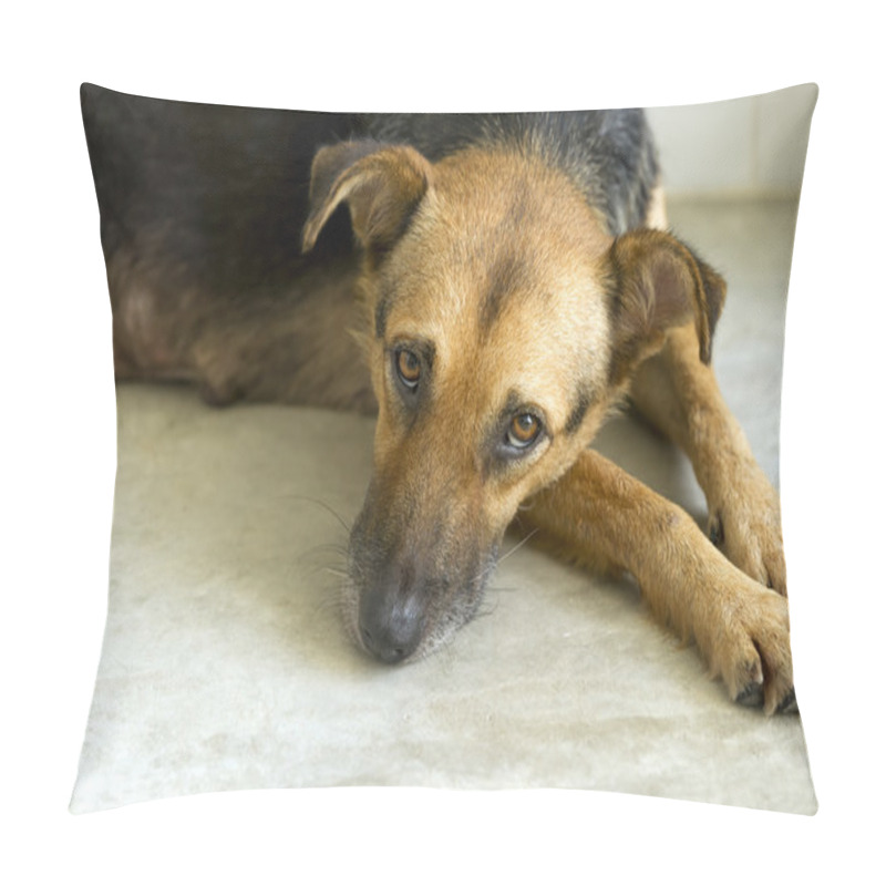 Personality  Sad Dog Pillow Covers