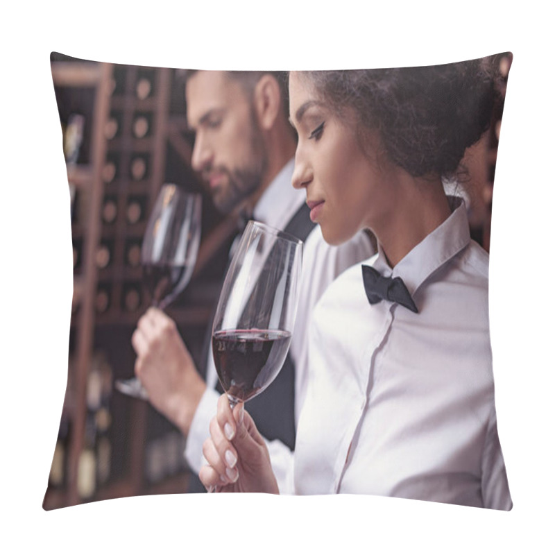 Personality  Sommeliers Tasting Wine In Cellar Pillow Covers