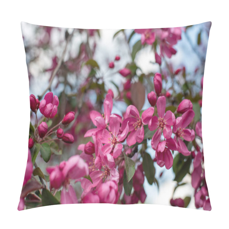 Personality  Close-up View Of Delicate Pink European Crab Apple Flowers In Full Bloom, Showcasing Their Natural Beauty Pillow Covers