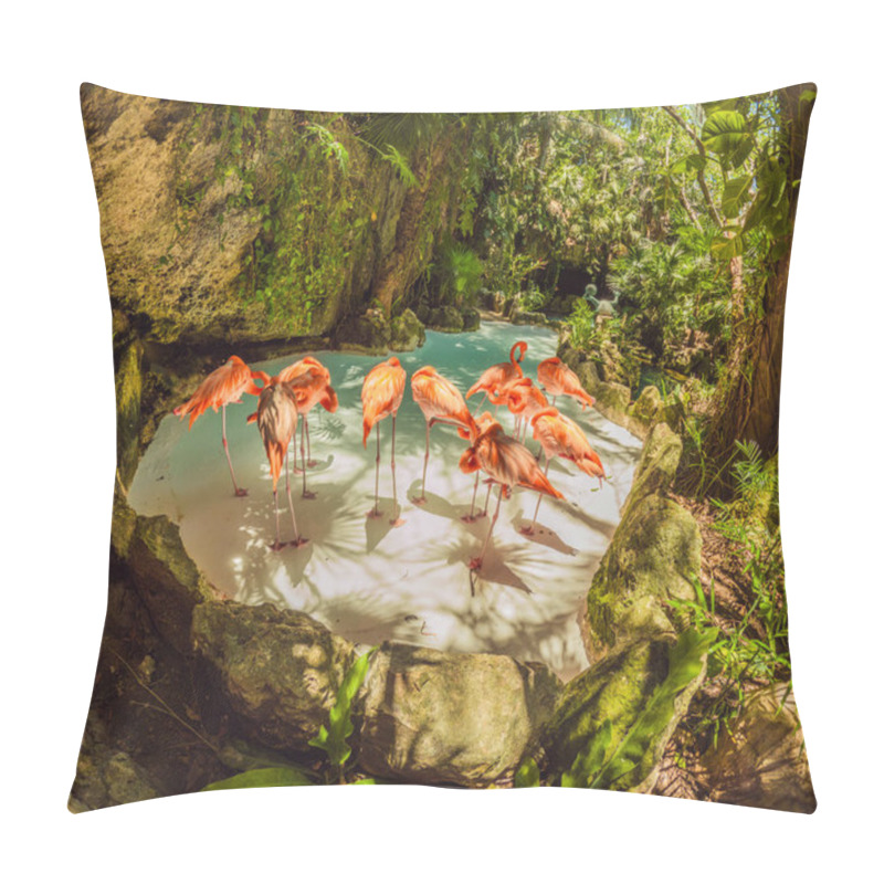 Personality  Flock Of Pink Flamingos In A Serene Park Setting. Vibrant Wildlife And Lush Greenery Create A Tropical Paradise. Wildlife Observation, Nature Appreciation, And Exotic Travel Concept. Pillow Covers