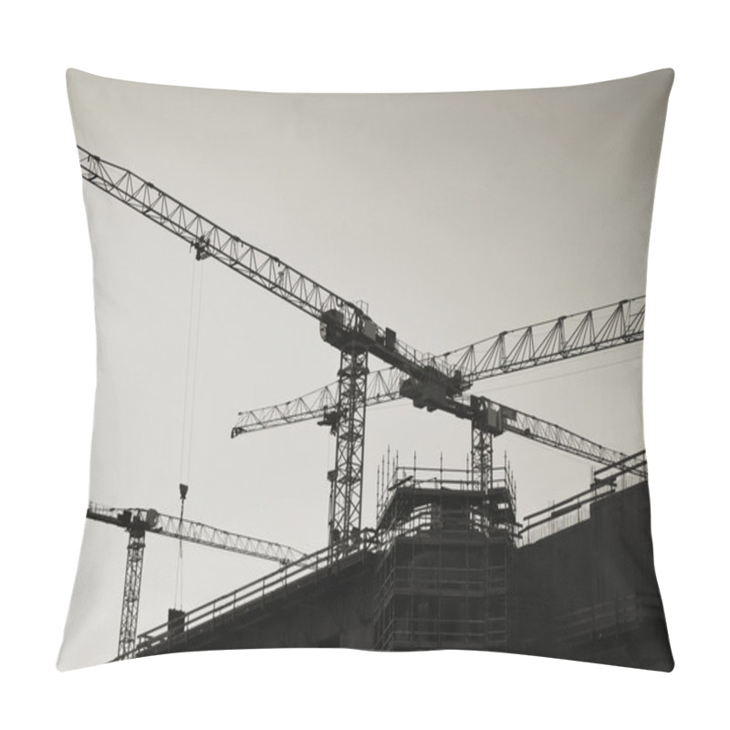 Personality  Cranes In Berlin Pillow Covers