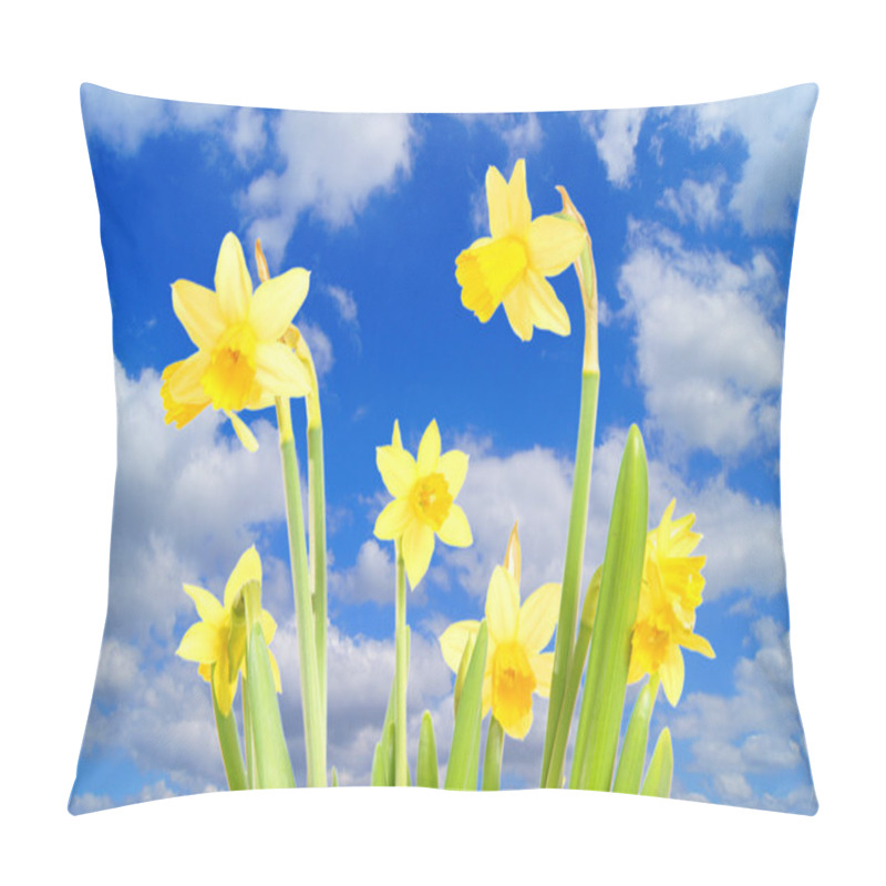 Personality  Daffodils Pillow Covers