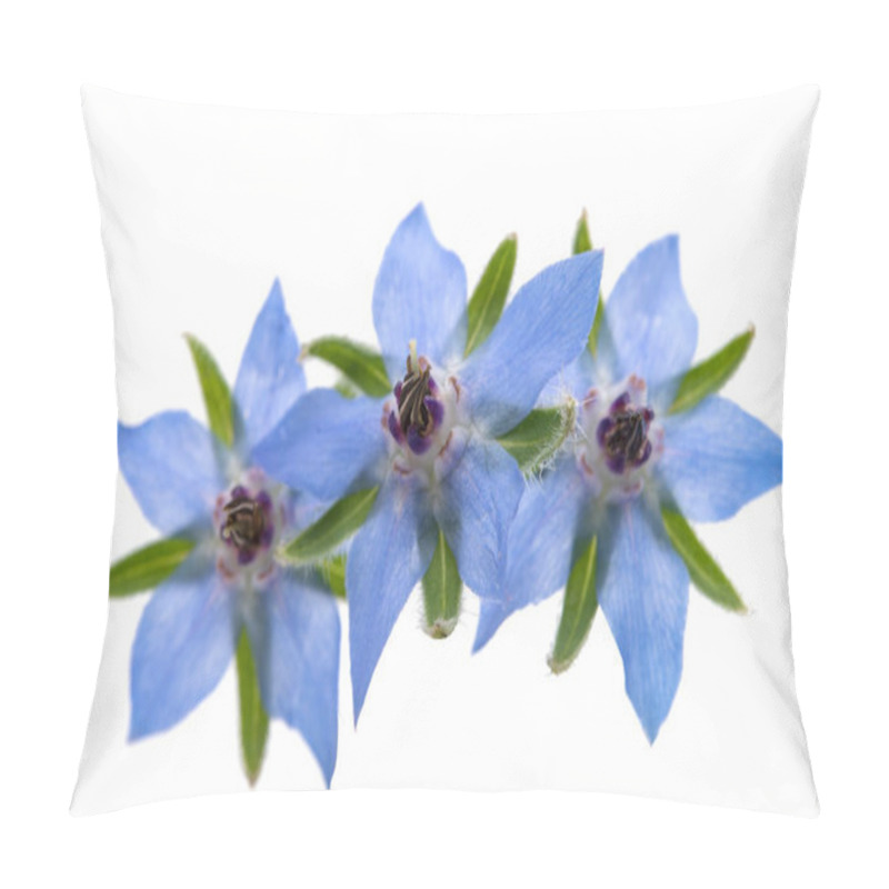 Personality  Borage Flower Isolated  Pillow Covers