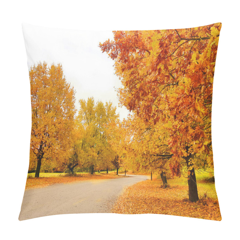 Personality  Oak Trees Yellow Leaves  In Autumn Season In University Of Ioannina Greece Pillow Covers