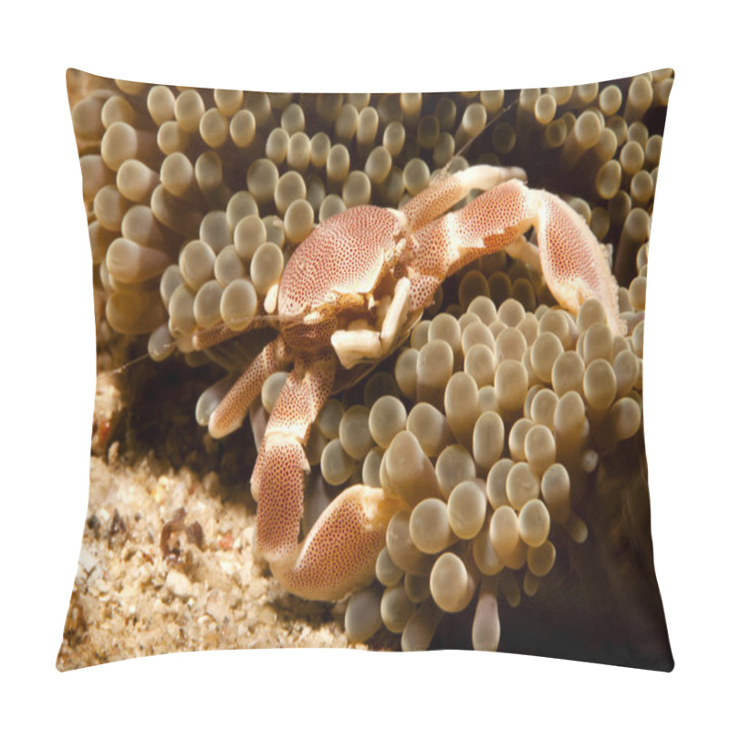 Personality  Relaxing On The Seabed Pillow Covers