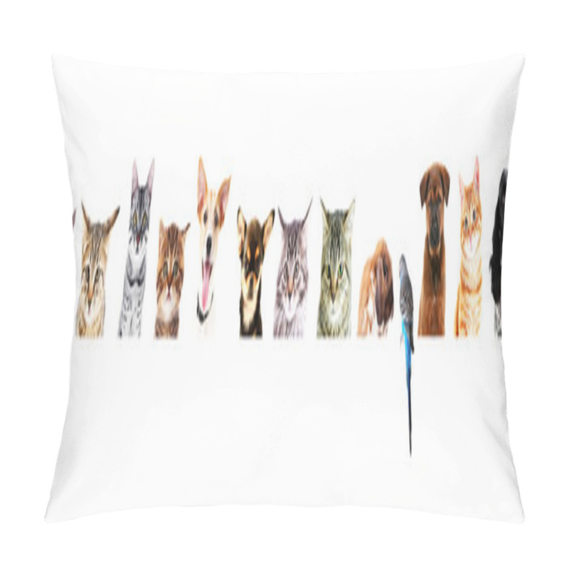 Personality  Row Of Different Pets  Pillow Covers