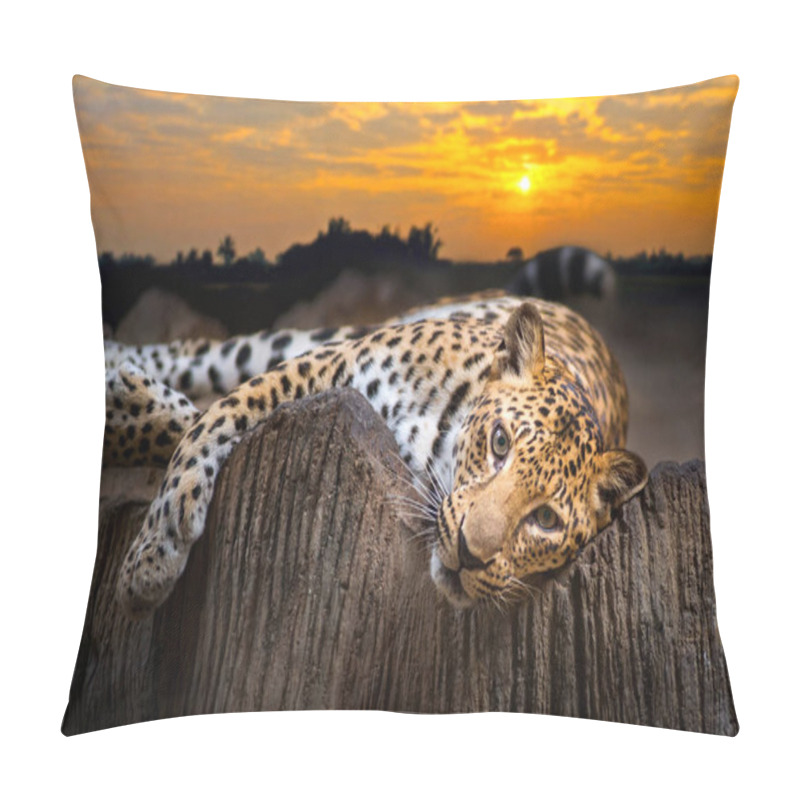 Personality  Leopard Pillow Covers