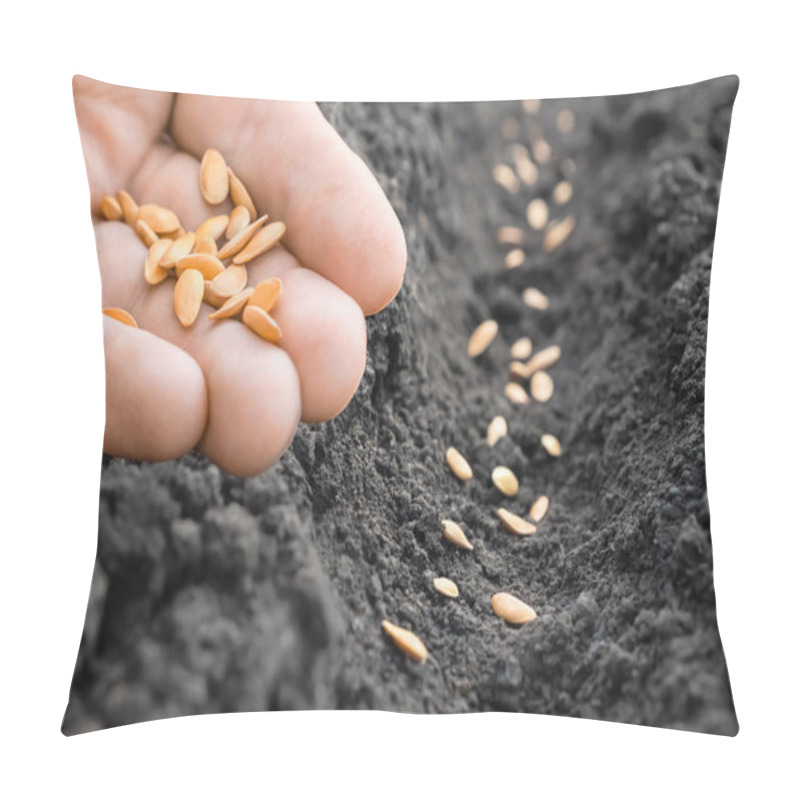 Personality  Planting Farmer Hand Soil Sowing Seeds Closeup. Farm Hand Seeds Soiled Hands Gardener Sowing Season. Farm Soil Garden Earth Ground. Agriculture Farm Garden Seed Planting Soil Rows Crops. Melon. Furrow Pillow Covers