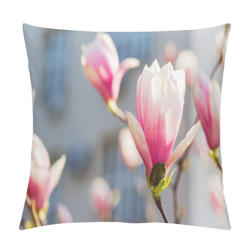 Personality  Branch Of Magnolia In Full Bloom. Showy Flora. Nature Background In Spring. Uzhhorod, Europe Pillow Covers