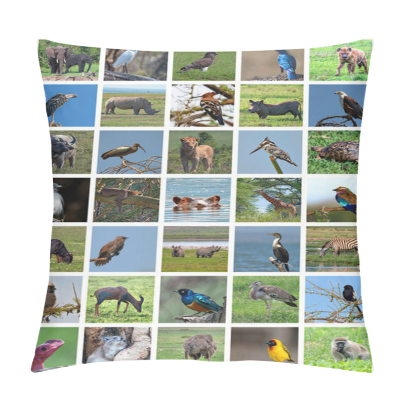 Personality  African Safari Collage. Wildlife Variety Pillow Covers