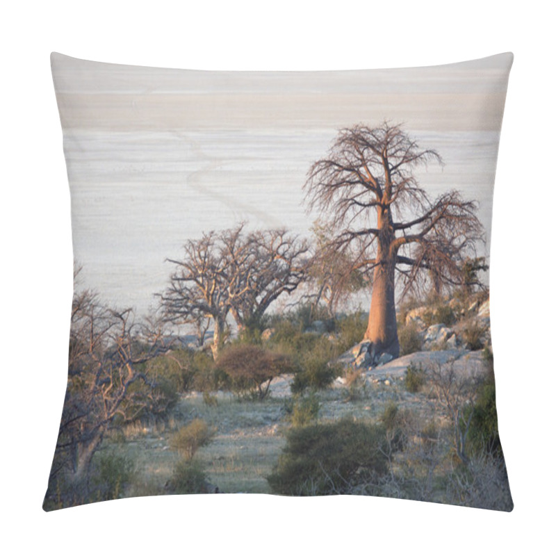 Personality  Baobab Trees Pillow Covers