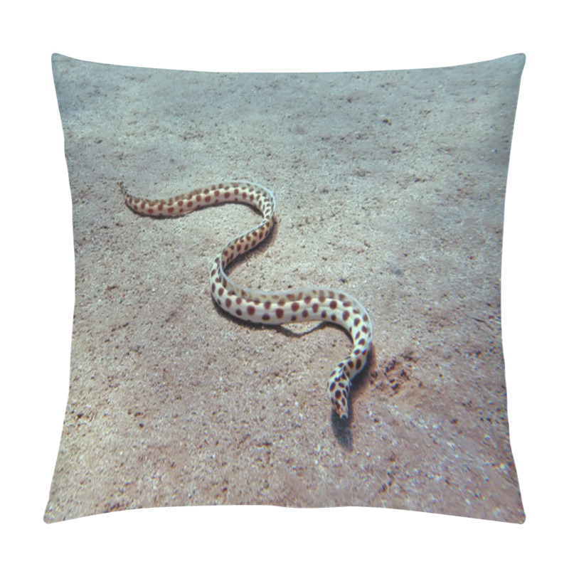 Personality  Spotted Snake Eel Pillow Covers