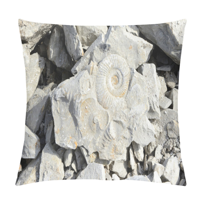 Personality  Ammonite Fossil In Limestone Pillow Covers