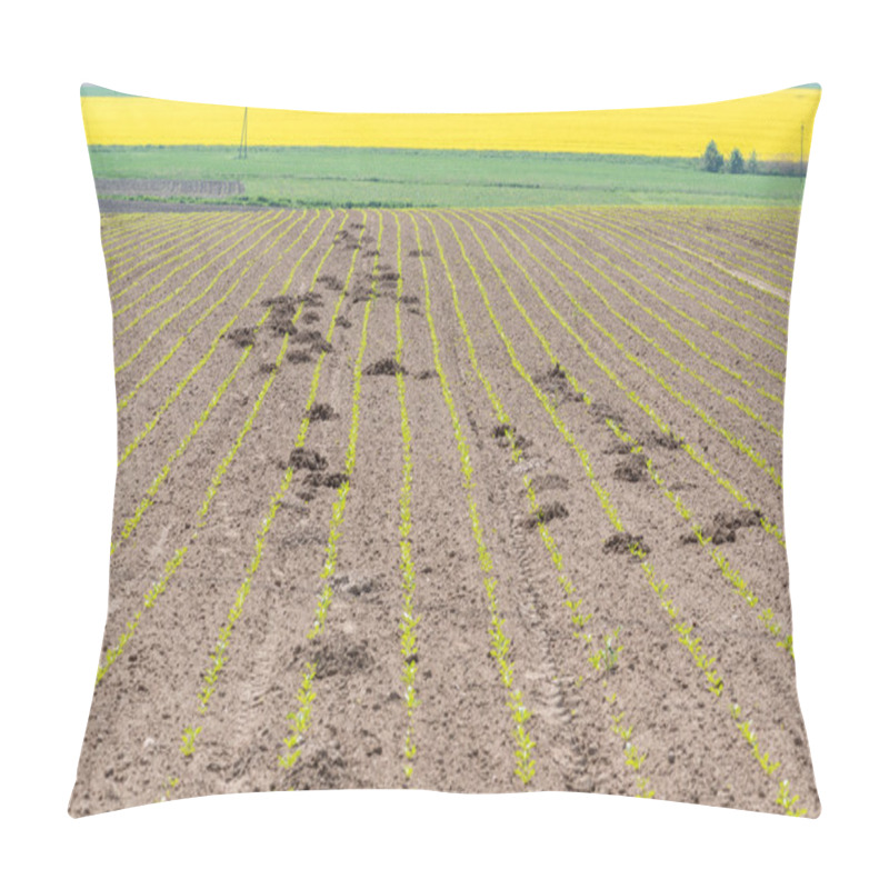 Personality  Moles On Young Rape Field Pillow Covers