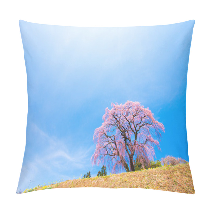 Personality  Japanese Cherry Blossoms SAKURA,Fukushima(prefectures),tourism Of Japan Pillow Covers