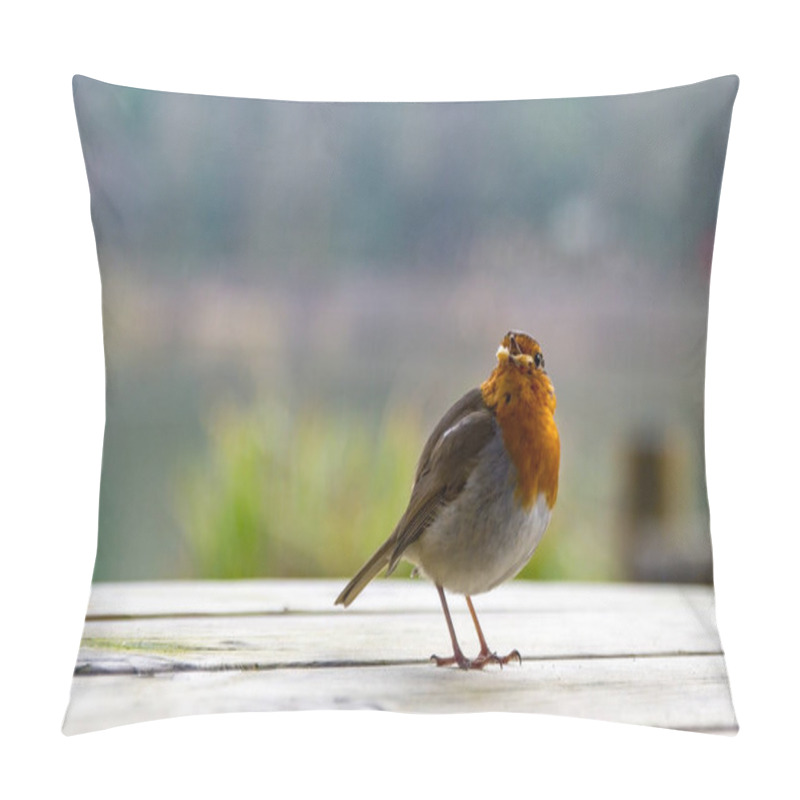 Personality  A Robin Perched On A Post. He Looks Out Across The Softly Focused Green Background. Erithacus Rubecula. Copy Space Editorial Picture. Pillow Covers