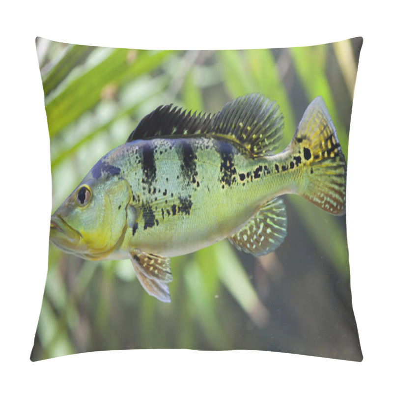 Personality  Butterfly Peacock Bass Pillow Covers