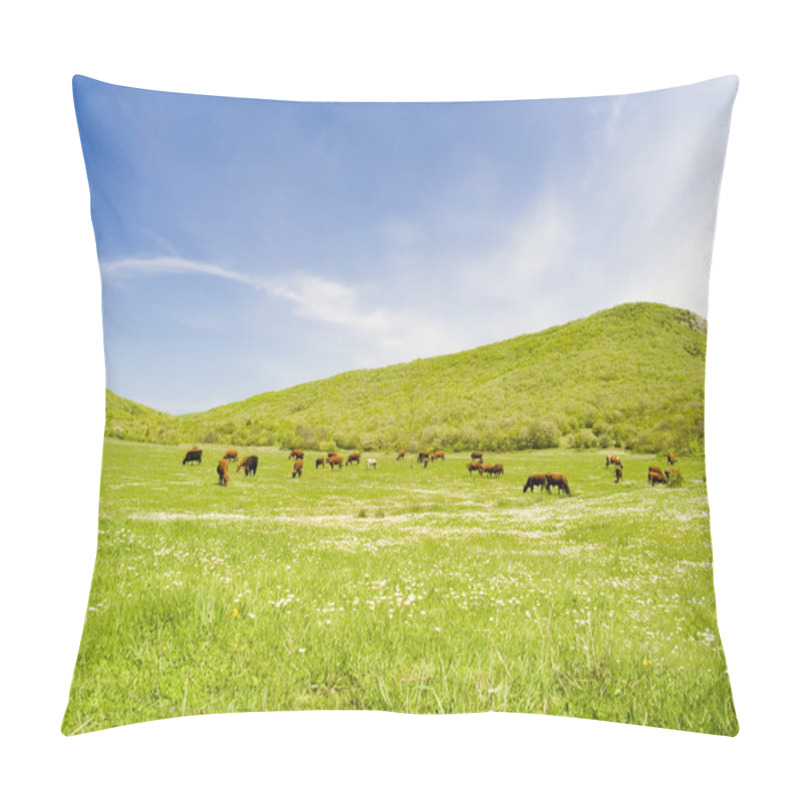 Personality  Cows On A Pasture Pillow Covers