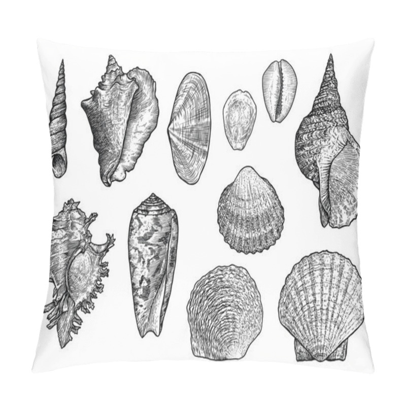 Personality  Seashell Collection, Engraving, Illustration, Drawing Collection Pillow Covers