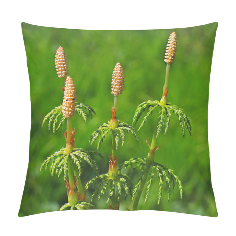 Personality  Horsetail - Equisetum Sylvaticum Pillow Covers