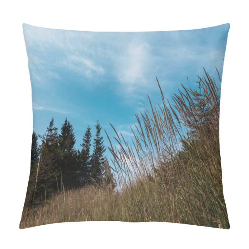 Personality  Low Angle View Of Golden Meadow On Hill With Green Trees Against Blue Sky Pillow Covers