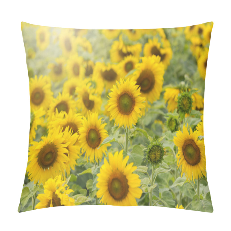 Personality  Blooming Sunflowers Field Pillow Covers