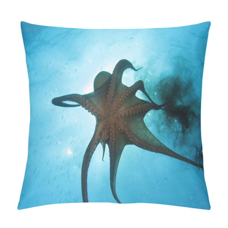 Personality  Octopus And Black Ink Pillow Covers