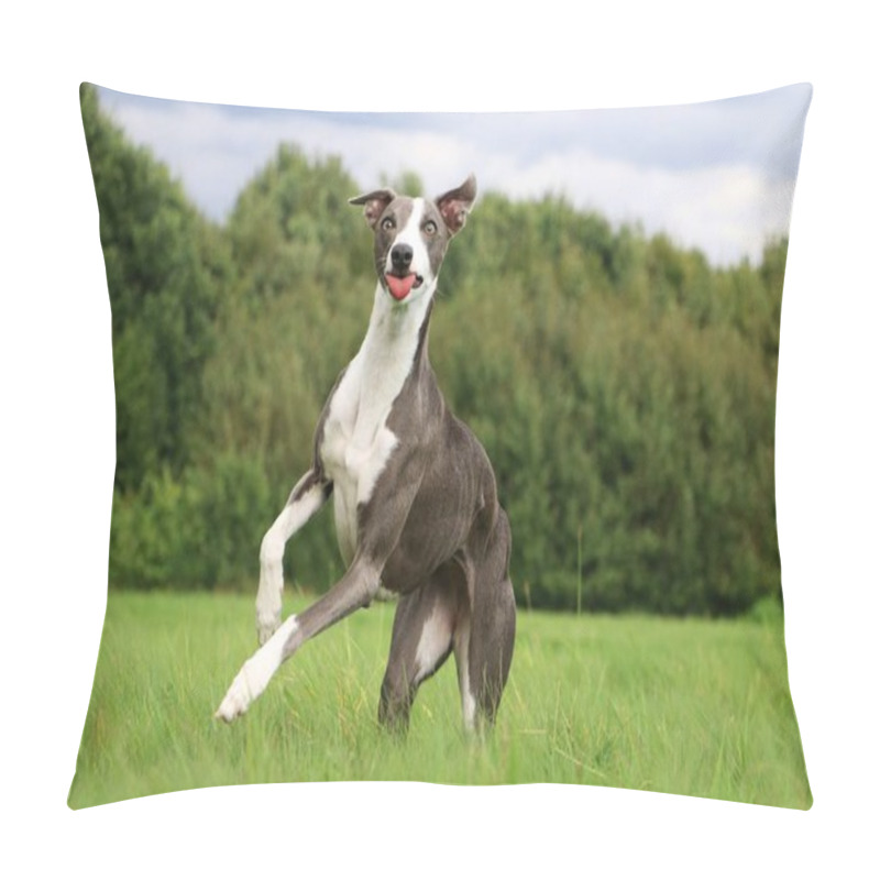 Personality  Beautiful Whippet Have Fun In The Park Pillow Covers