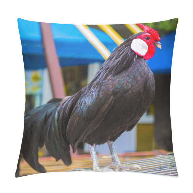 Personality  Cock. Poultry Rooster. Farmer Bird Cock. Bird Cock. Rooster Blac Pillow Covers