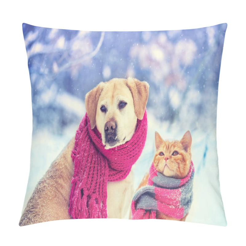 Personality  Dog And Cat Wearing Knitted Scarf Sitting Together Outdoors In The Snow In Winter. Christmas Scene Pillow Covers