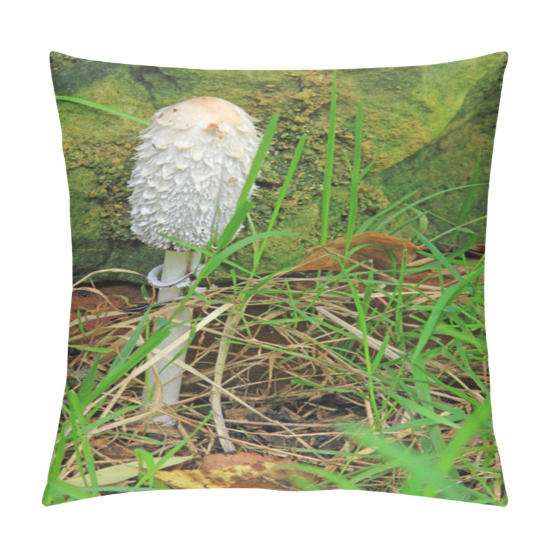 Personality  Shaggy Ink Cap (Coprinus Comatus) Pillow Covers