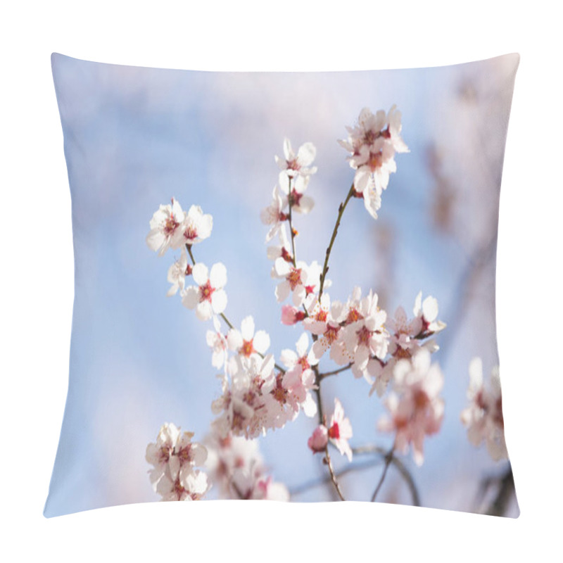 Personality  Peach Blossom In Tibet Pillow Covers