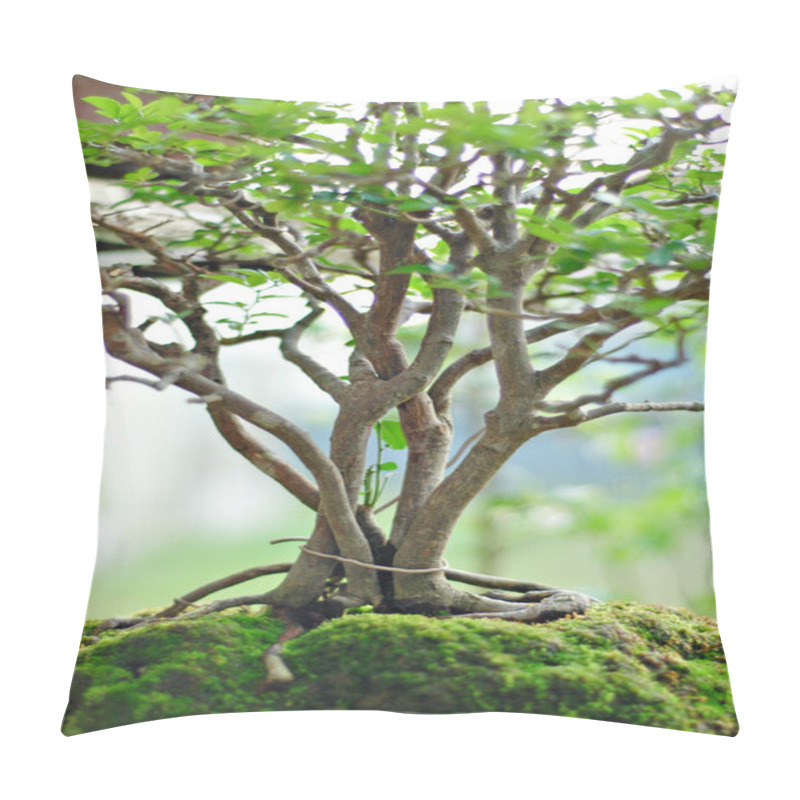 Personality  Bonsai Tree And Mini Landscaping Pillow Covers