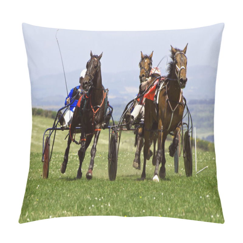 Personality  Trotting Race Wales Pillow Covers