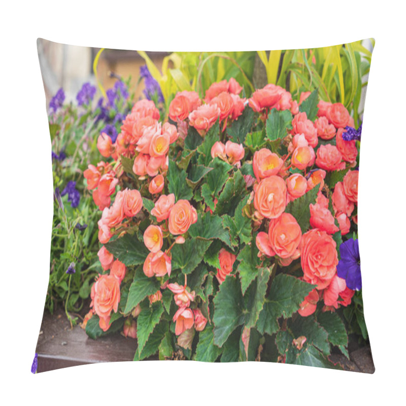 Personality  Nice Flowers In The Containers In Garden Pillow Covers