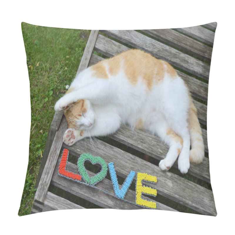 Personality  Funny Cat With Love Sign St Valentine Image. Pillow Covers