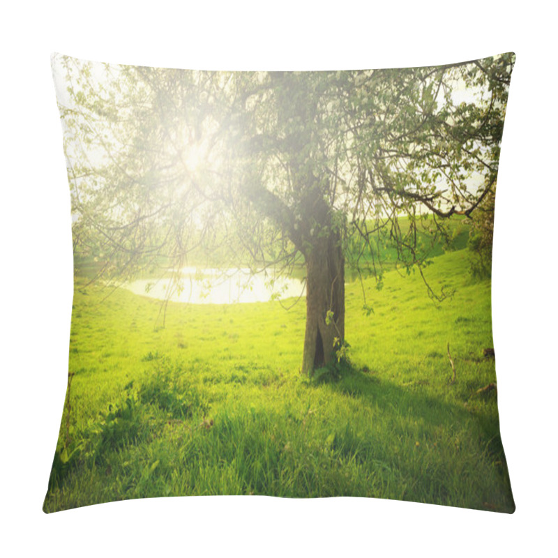 Personality  Landscape With Tree Pillow Covers