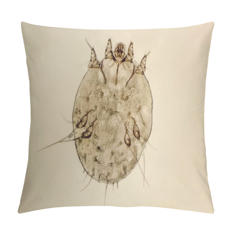 Personality  Itch-mite, Parasitic Microorganism Of Human Skin Pillow Covers