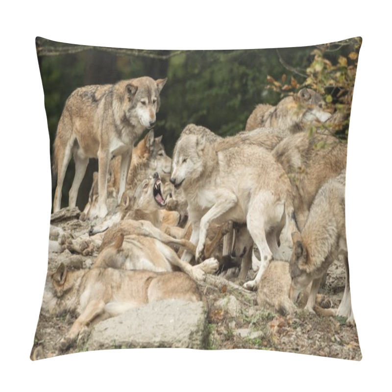 Personality  A Pack Of Wolves On A Rock Pillow Covers