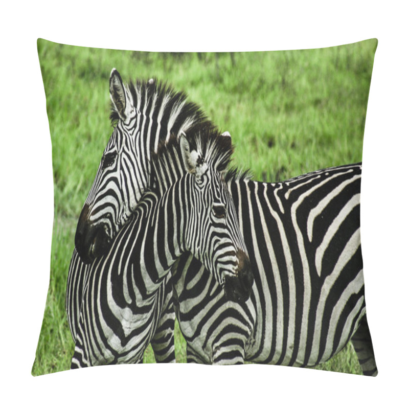 Personality  Zebras Over Green Background In Zambia Pillow Covers