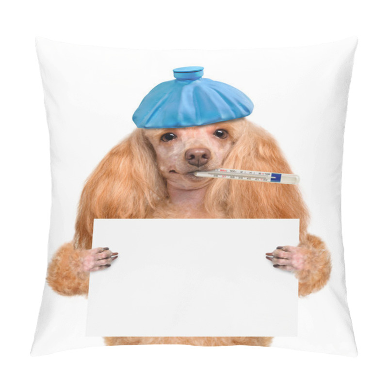 Personality  Sick Dog. Pillow Covers