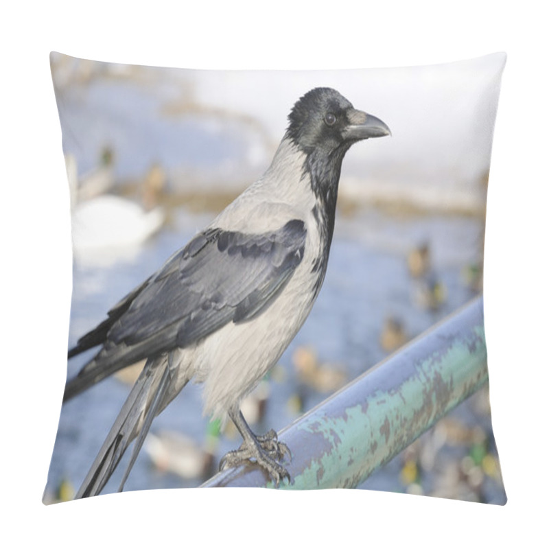 Personality  Hooded Crow Sitting On Rail Pillow Covers