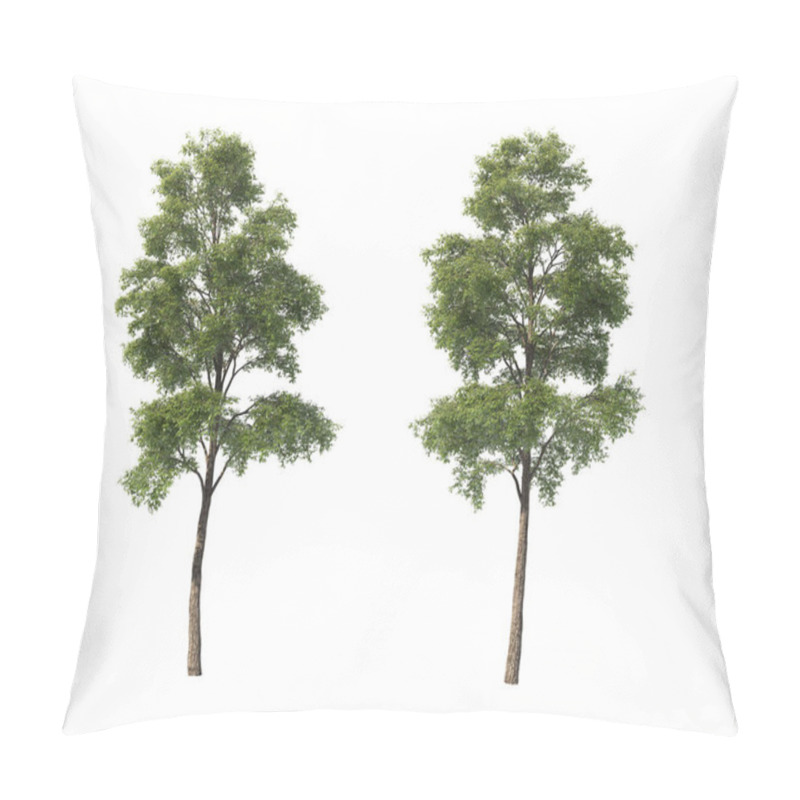 Personality  Deciduous Trees On An Isolated Background. Pillow Covers