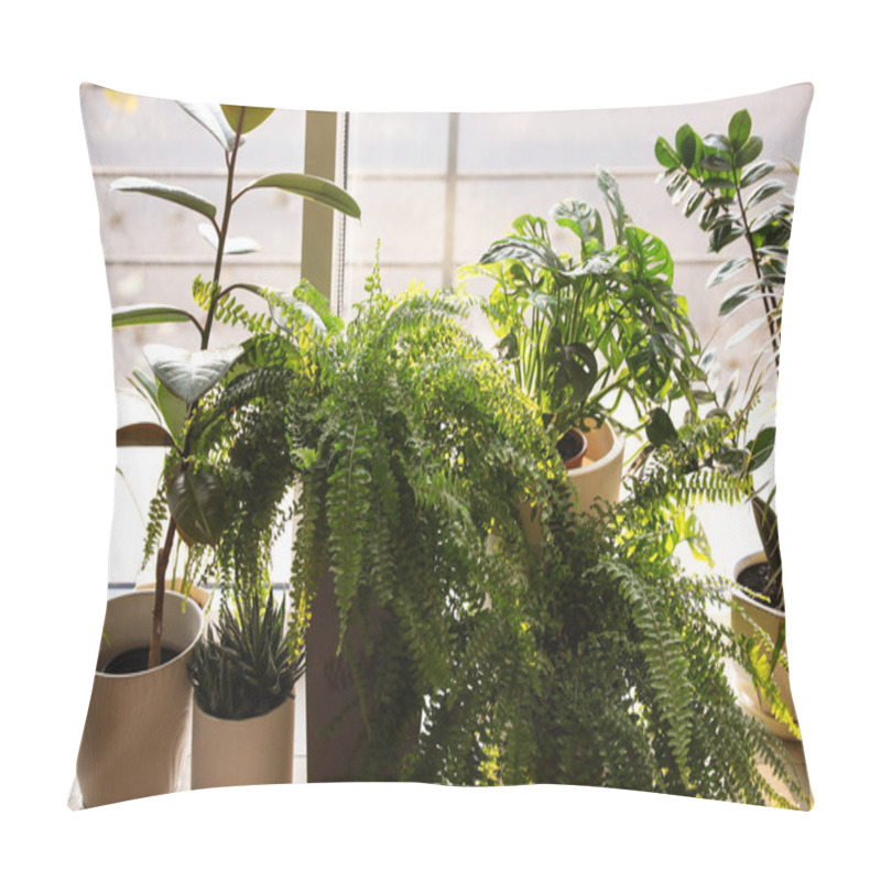 Personality  Different Potted Plants On Window Sill At Home Pillow Covers