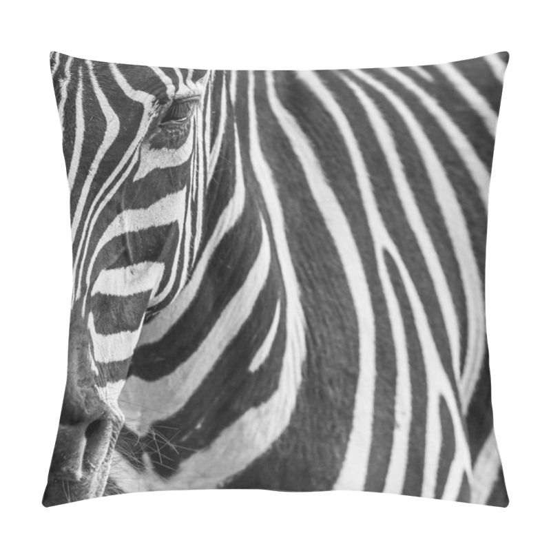 Personality  Animal Zebre Portrait Pillow Covers